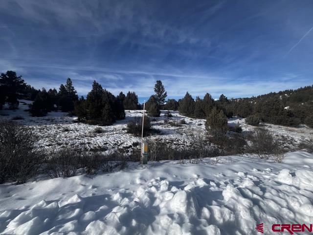 64 Bradley Place Property Photo 27