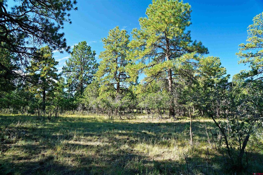 1325 Marmot Drive Property Photo 4