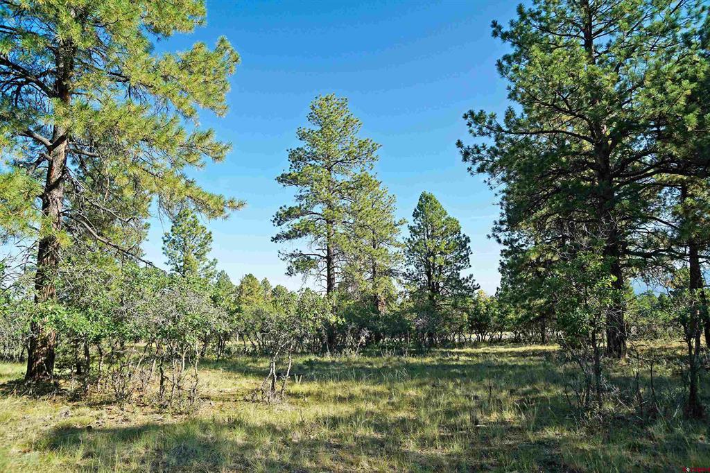1325 Marmot Drive Property Photo 7