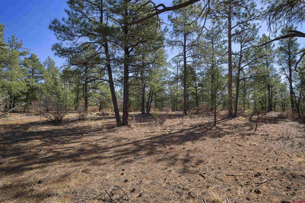 Tbd Rancho La Garita Lot 1129 Property Photo 3