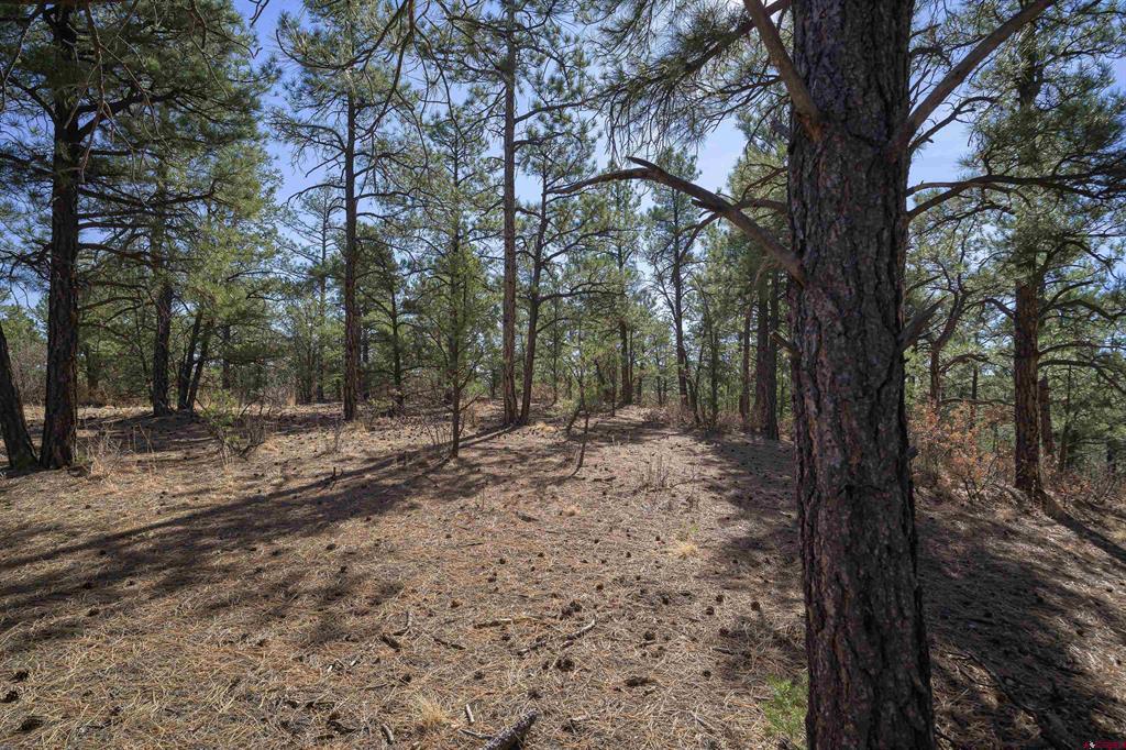 Tbd Rancho La Garita Lot 1129 Property Photo 4