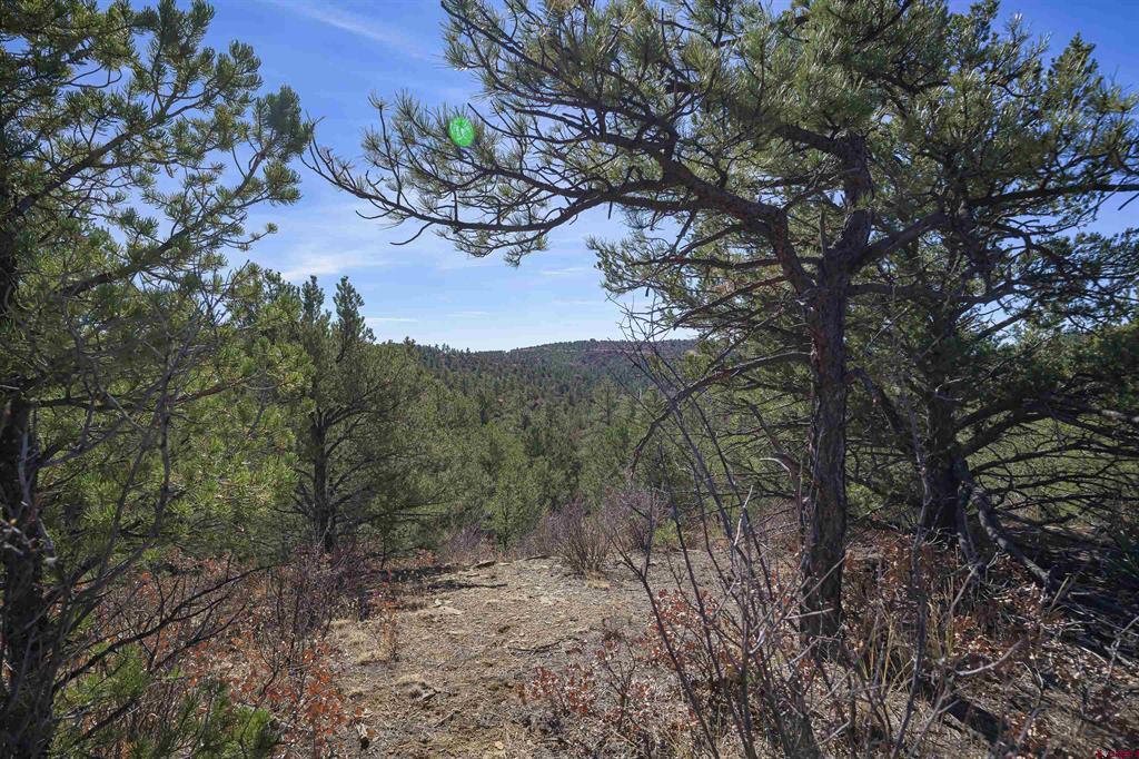 Tbd Rancho La Garita Lot 1129 Property Photo 6