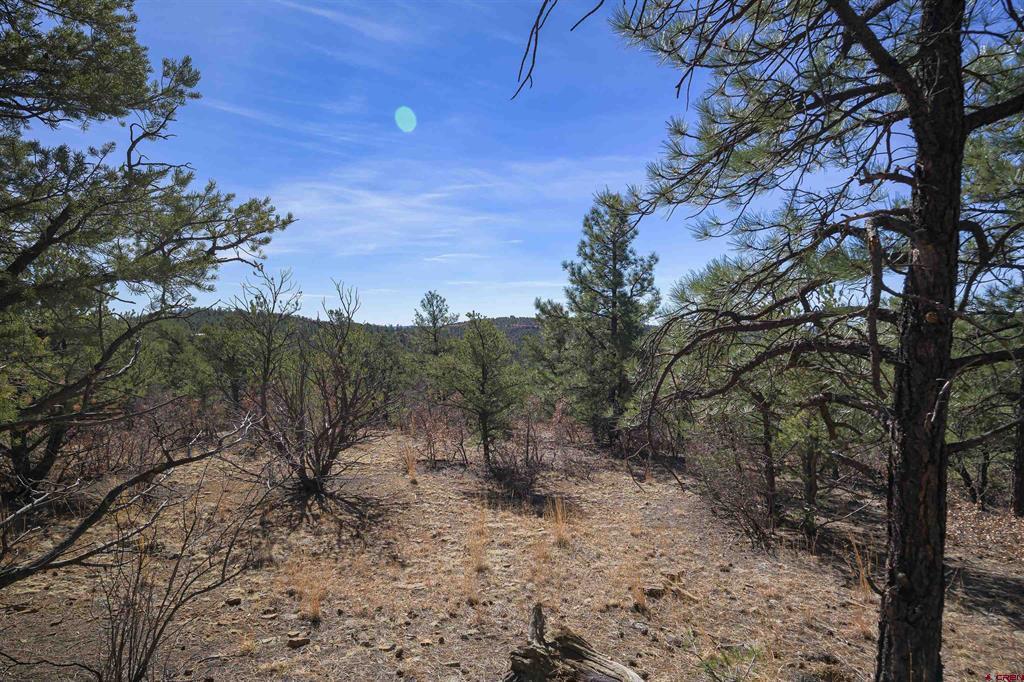 Tbd Rancho La Garita Lot 1129 Property Photo 7