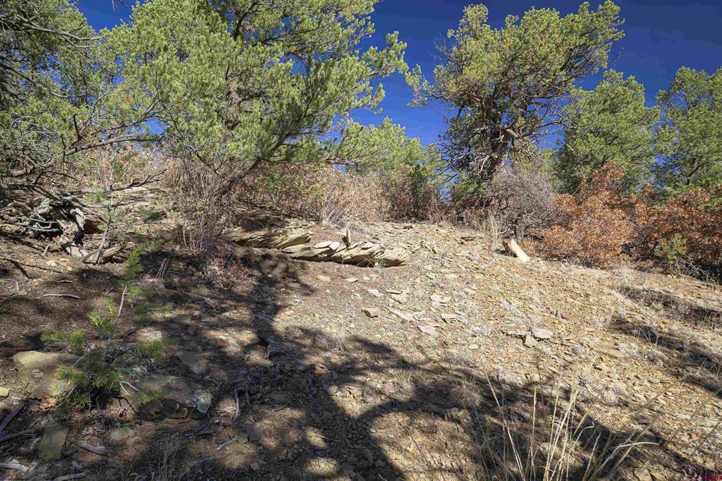 Tbd Rancho La Garita Lot 1129 Property Photo 9