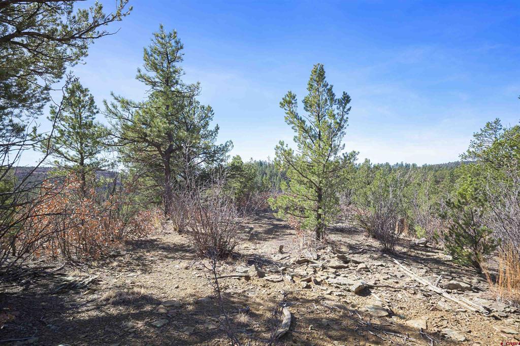 Tbd Rancho La Garita Lot 1129 Property Photo 10