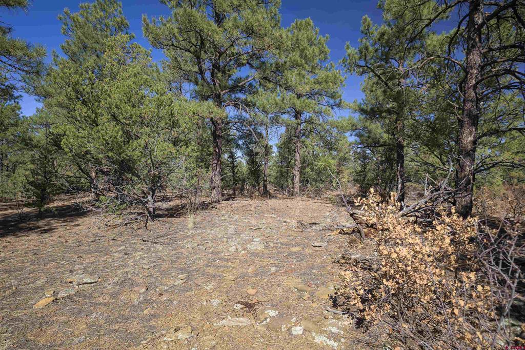 Tbd Rancho La Garita Lot 1129 Property Photo 14
