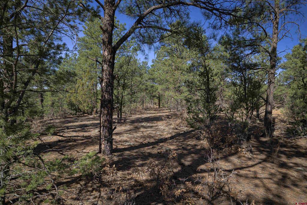 Tbd Rancho La Garita Lot 1129 Property Photo 19