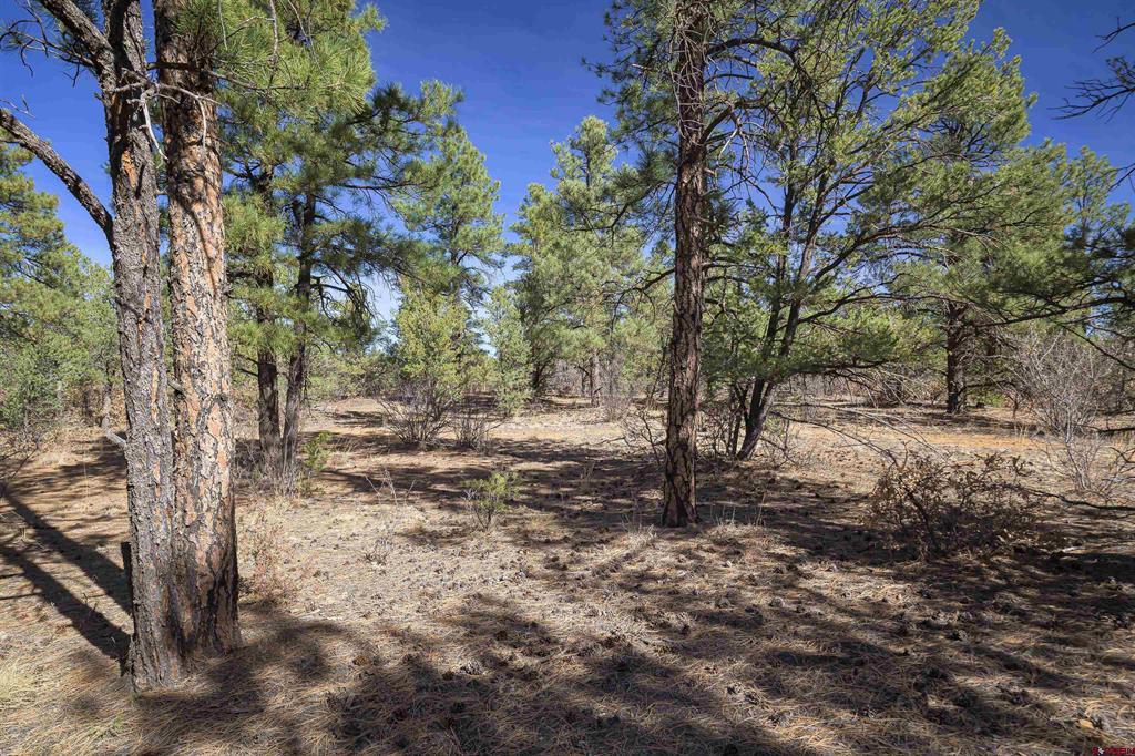 Tbd Rancho La Garita Lot 1129 Property Photo 21
