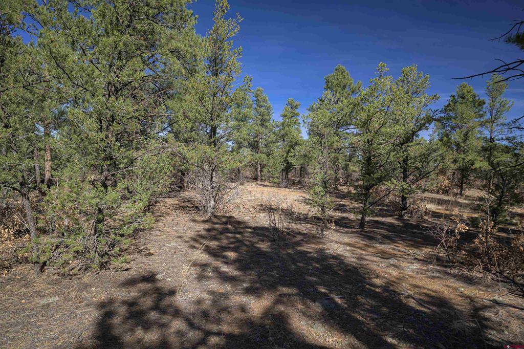 Tbd Rancho La Garita Lot 1129 Property Photo 22