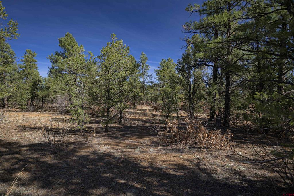 Tbd Rancho La Garita Lot 1129 Property Photo 23