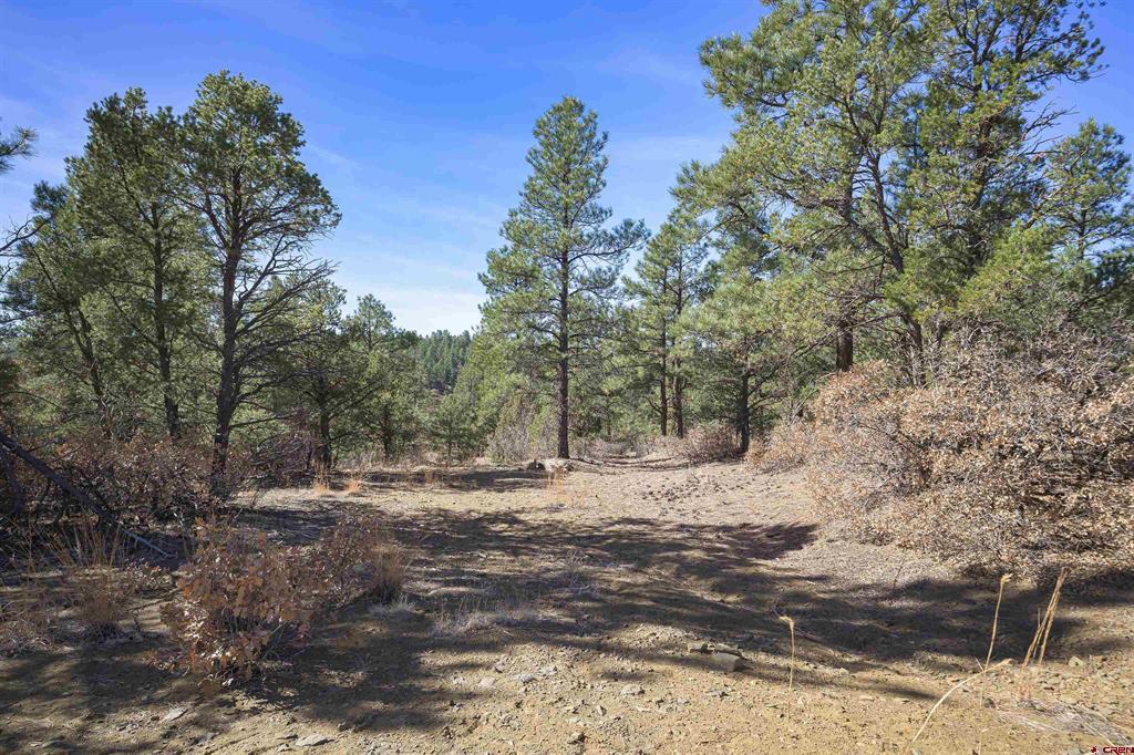 Tbd Rancho La Garita Lot 1129 Property Photo 25