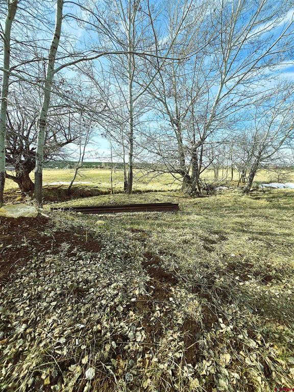 Unassigned County Road Y43 Property Photo 4