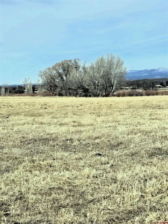 Unassigned County Road Y43 Property Photo 10