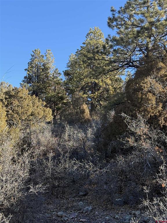 Lot 120 Green Meadow Lane Property Photo 13