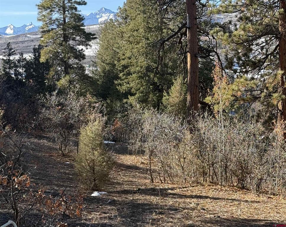 Lot 120 Green Meadow Lane Property Photo 14