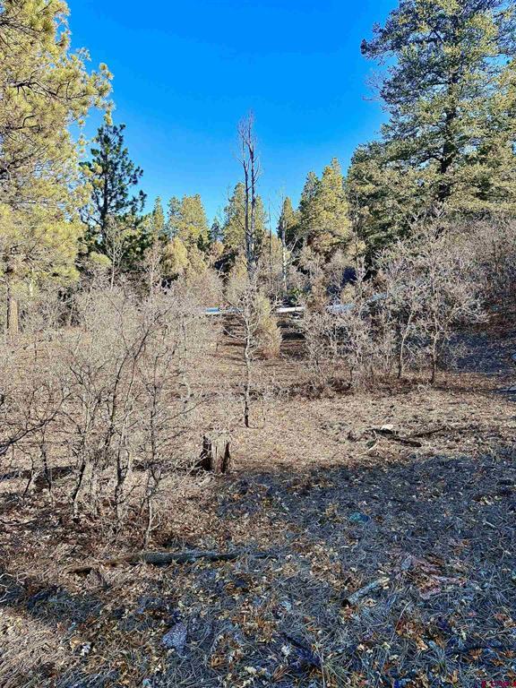 Lot 120 Green Meadow Lane Property Photo 17