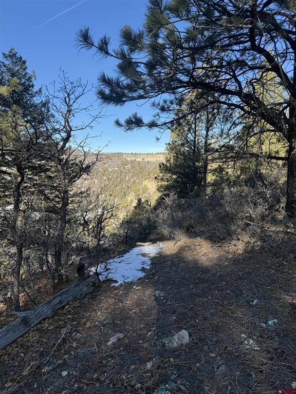 Lot 120 Green Meadow Lane Property Photo 18