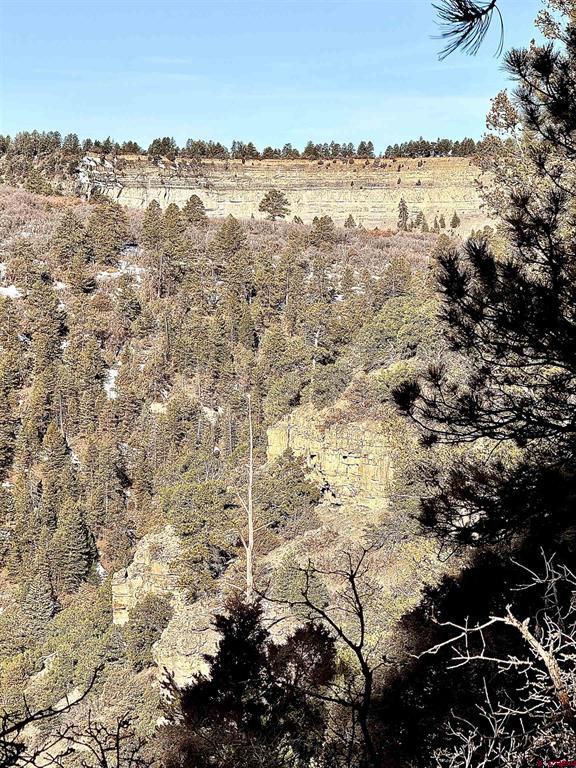 Lot 120 Green Meadow Lane Property Photo 19
