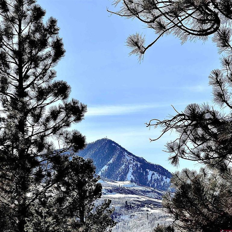 Lot 120 Green Meadow Lane Property Photo 21
