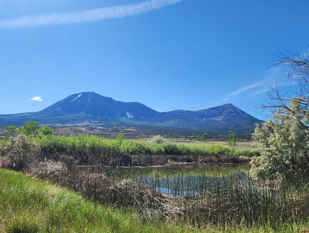 40532 M75 Road Property Photo 1
