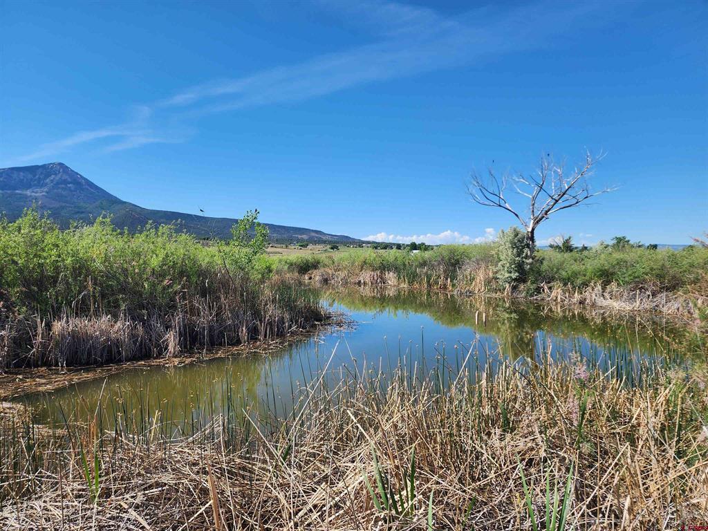 40532 M75 Road Property Photo 3