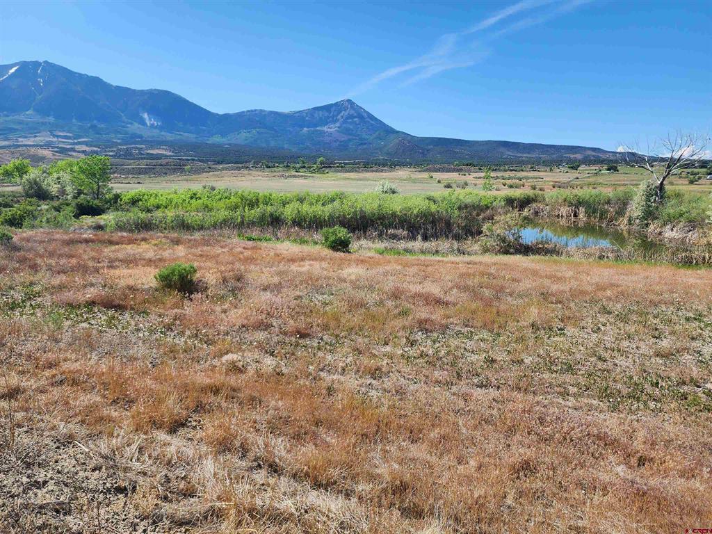 40532 M75 Road Property Photo 4