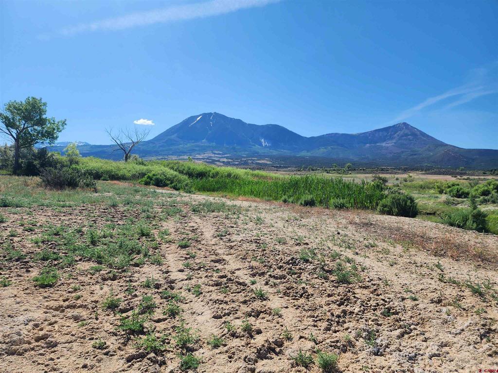 40532 M75 Road Property Photo 5