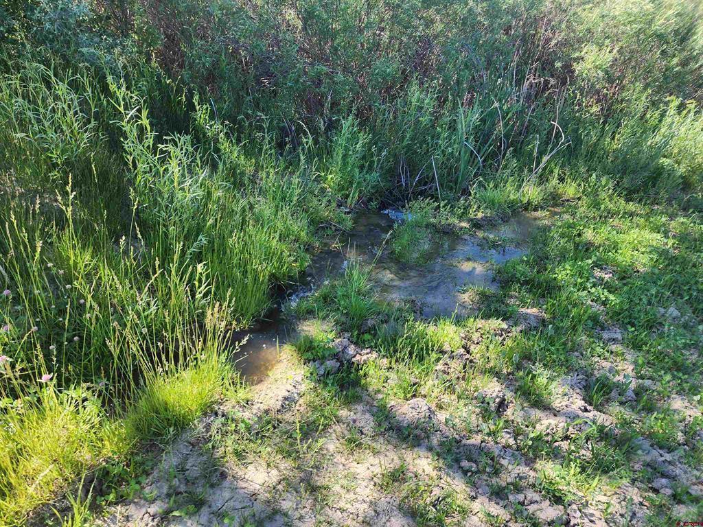 40532 M75 Road Property Photo 21