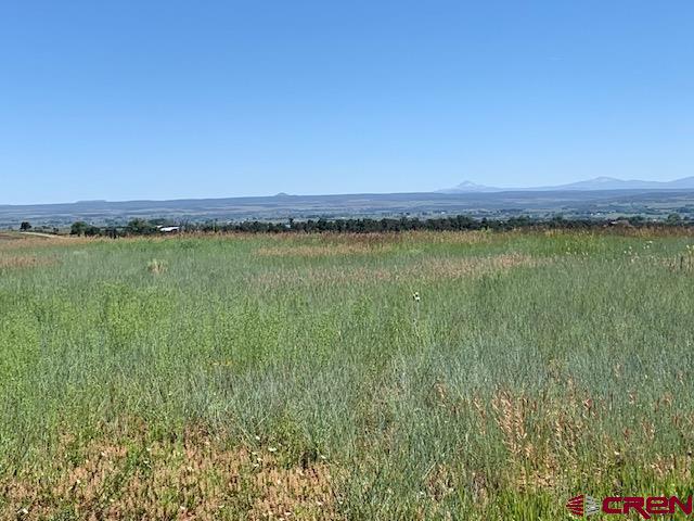 Lot 12 Road 17.9 Property Photo 4