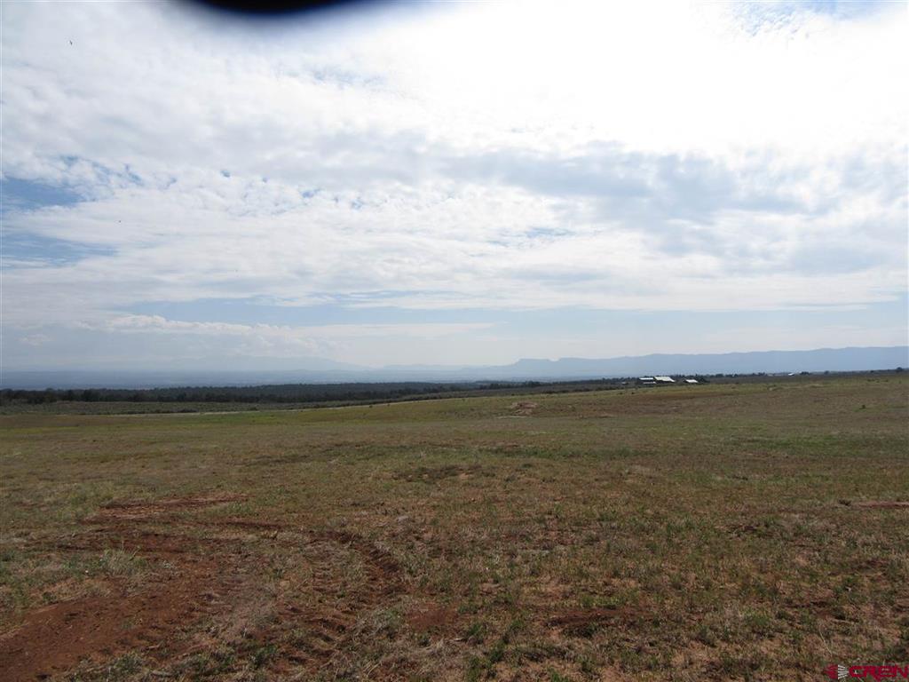 Lot 12 Road 17.9 Property Photo 10