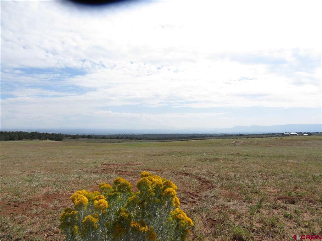 Lot 12 Road 17.9 Property Photo 13