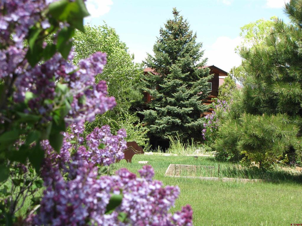 11555 Road 39 Property Photo 28