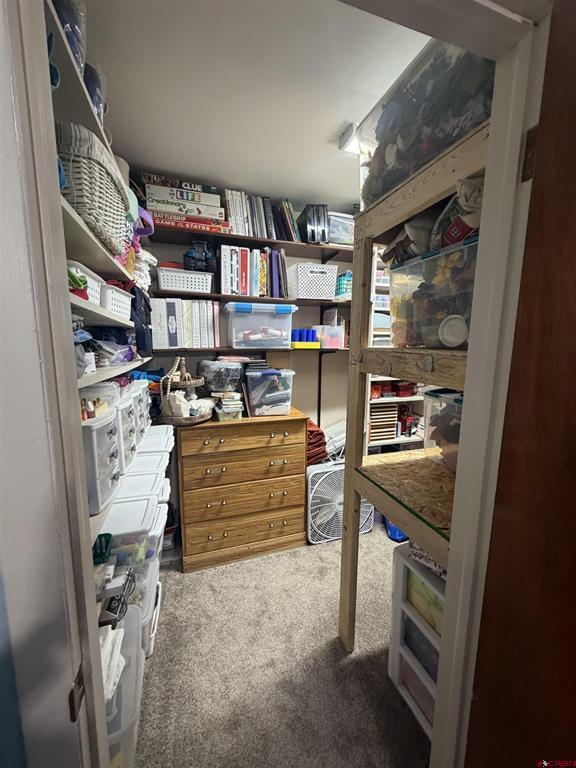 45 Rupert Avenue Property Photo 23