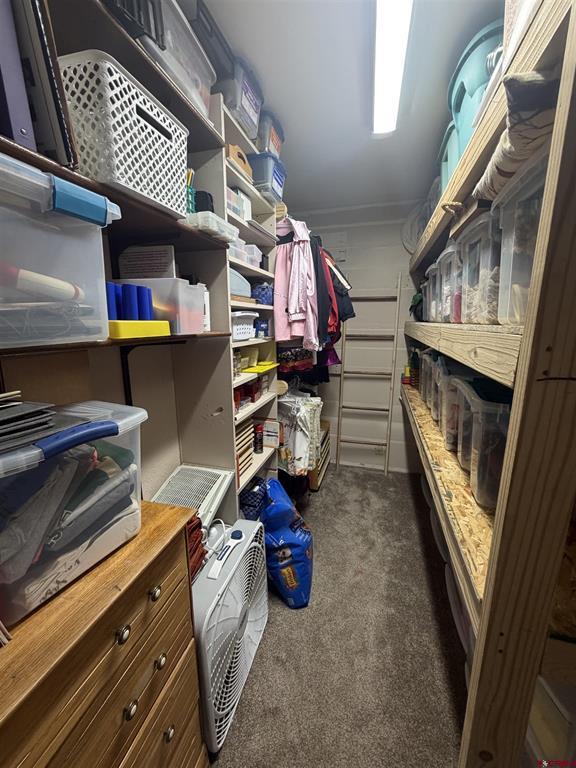 45 Rupert Avenue Property Photo 24