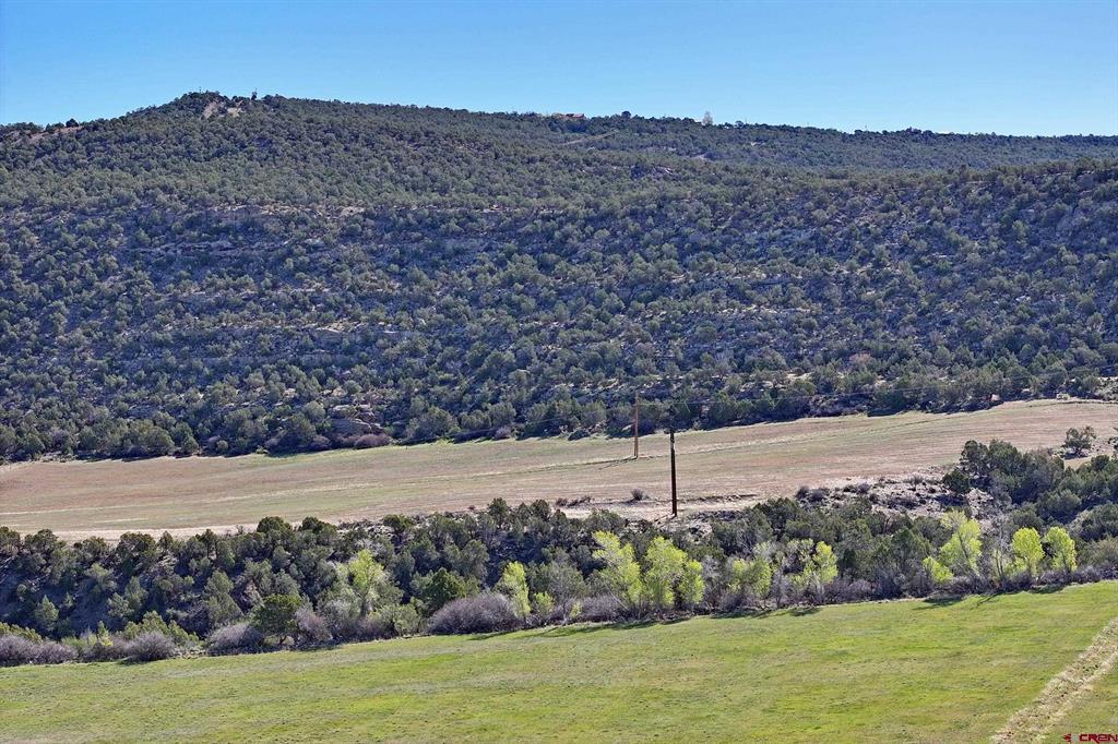 12482 54 7/10 Road Property Photo 11