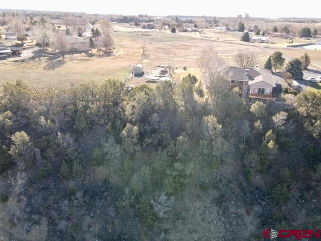 16609 Columbine Lane Property Photo 15