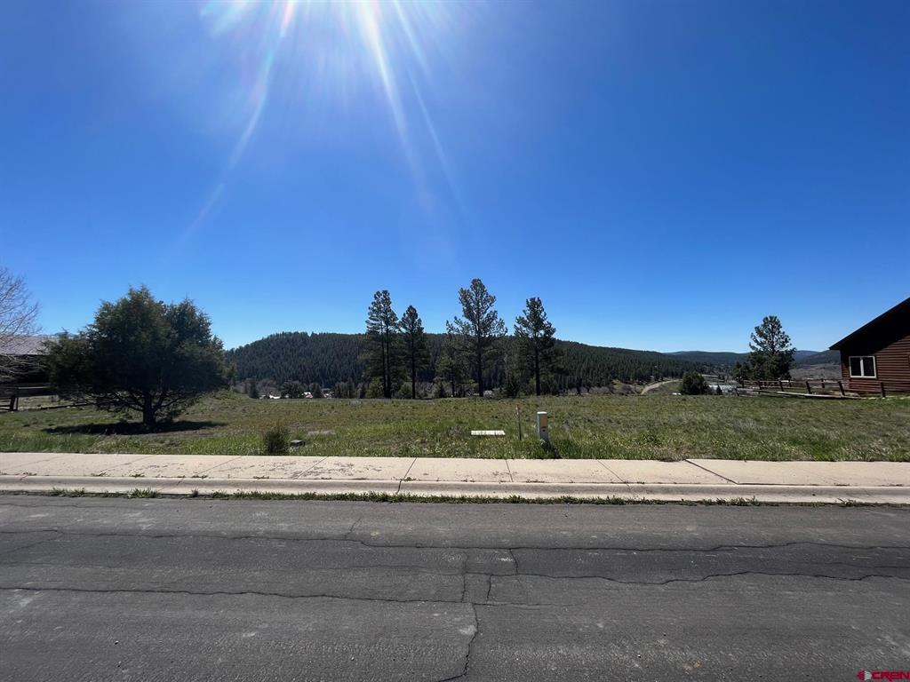 Lot 7a Apple Street Property Photo 11