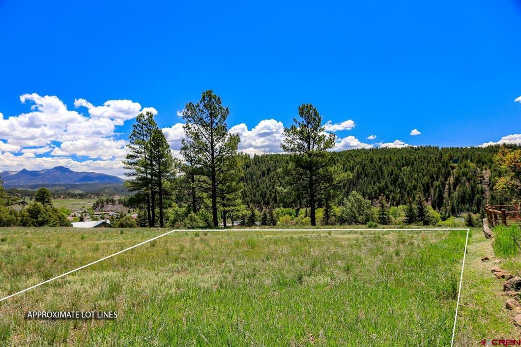 Lot 7a Apple Street Property Photo 19