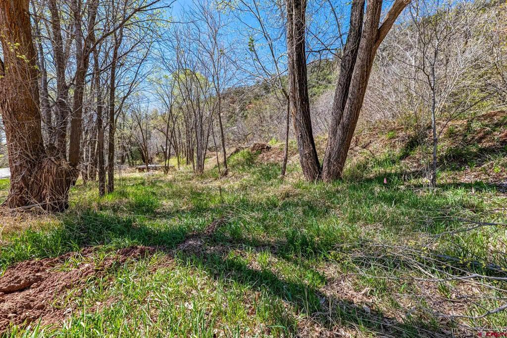4343 County Road 203 Property Photo 3