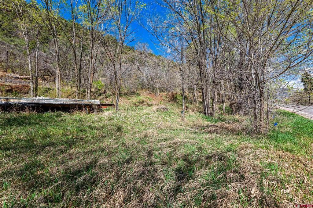 4343 County Road 203 Property Photo 4