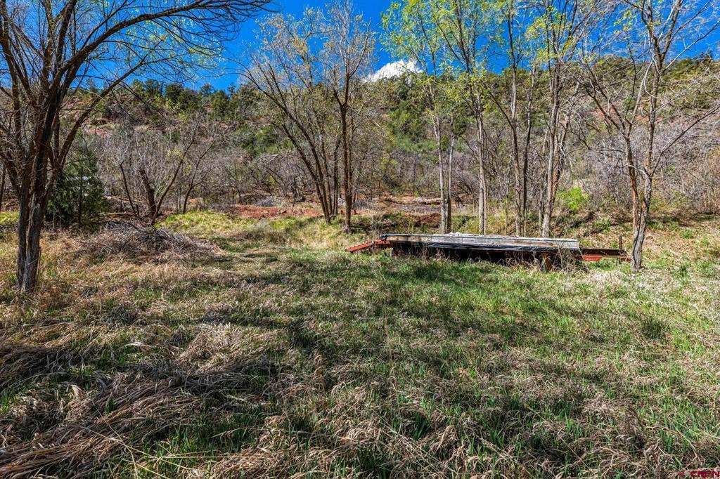 4343 County Road 203 Property Photo 5