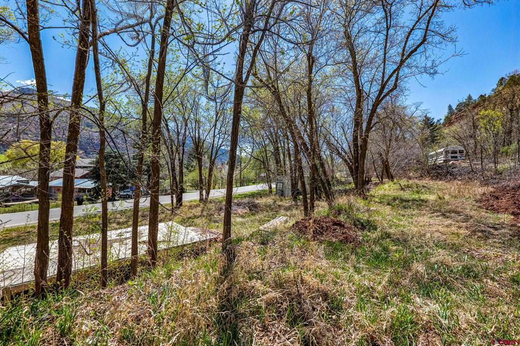 4343 County Road 203 Property Photo 11