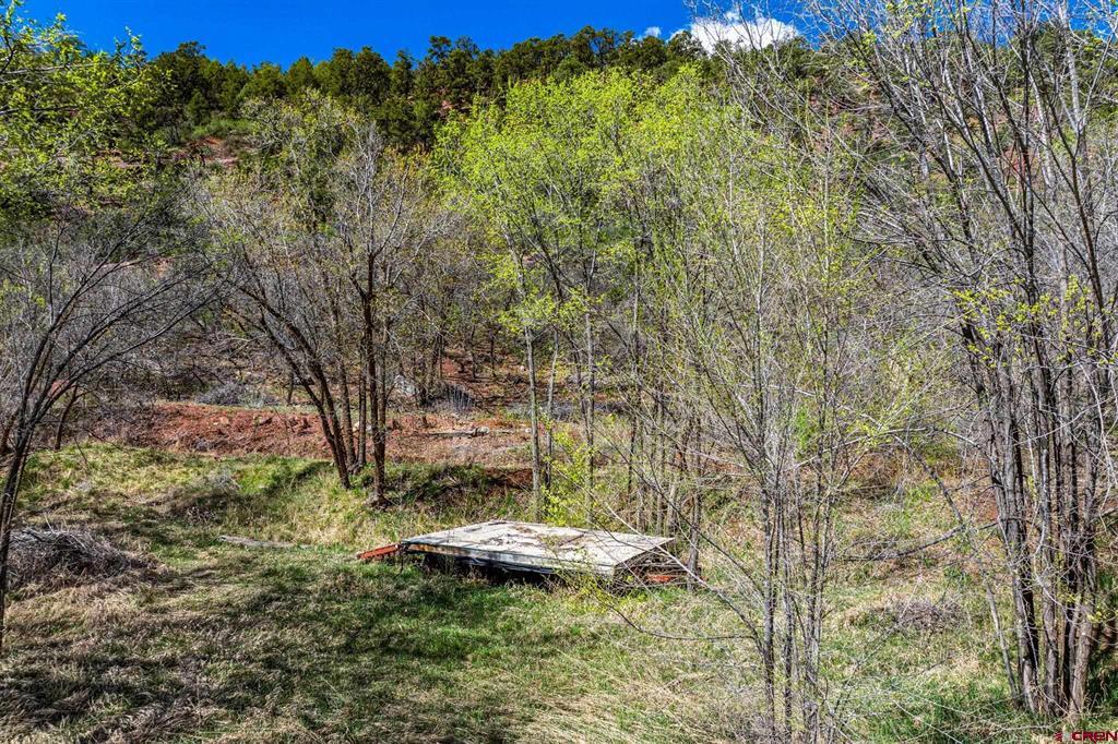 4343 County Road 203 Property Photo 14