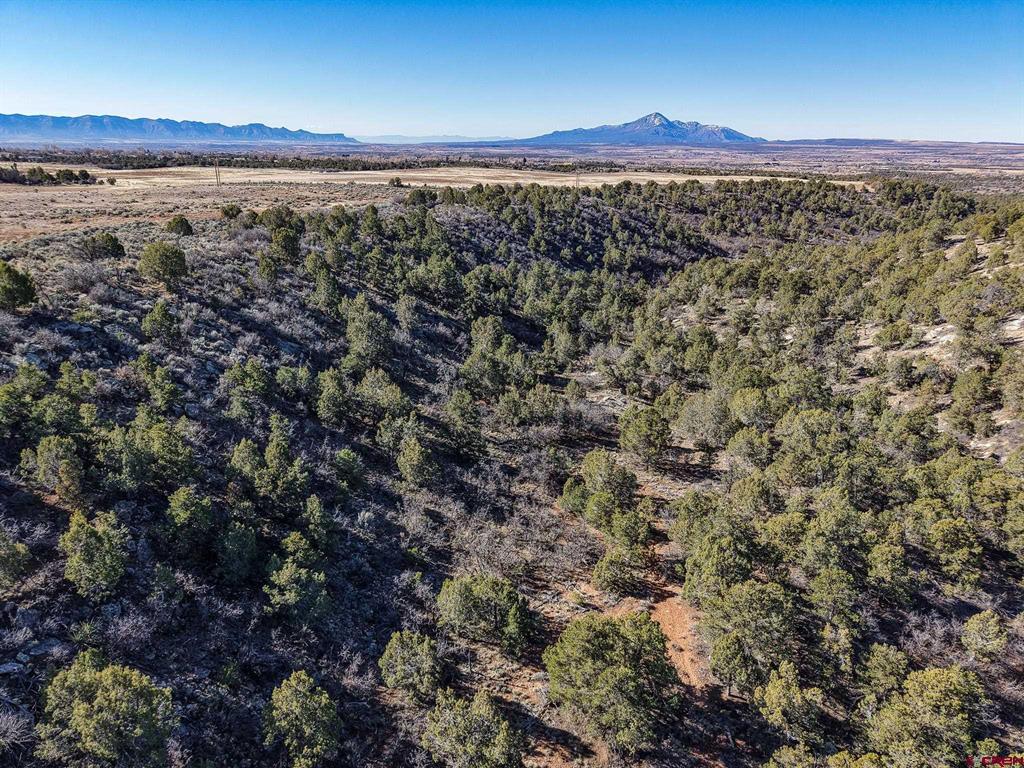 18523 Road 26 Property Photo 7