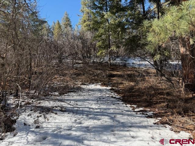 2409 Loma Linda Property Photo 4