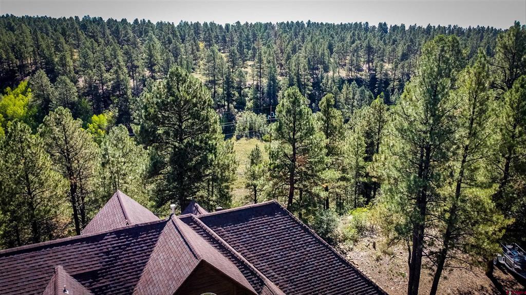 310 Twincreek Circle Property Photo 43
