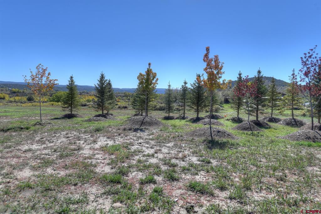 5161 County Road 213 Property Photo 41