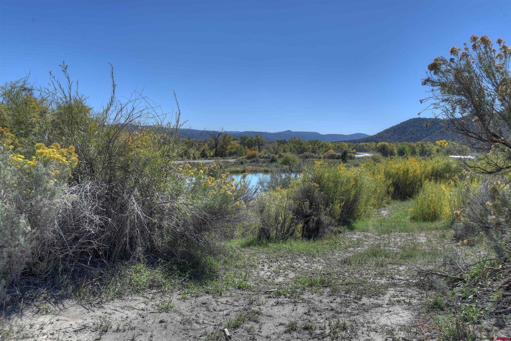 5161 County Road 213 Property Photo 43