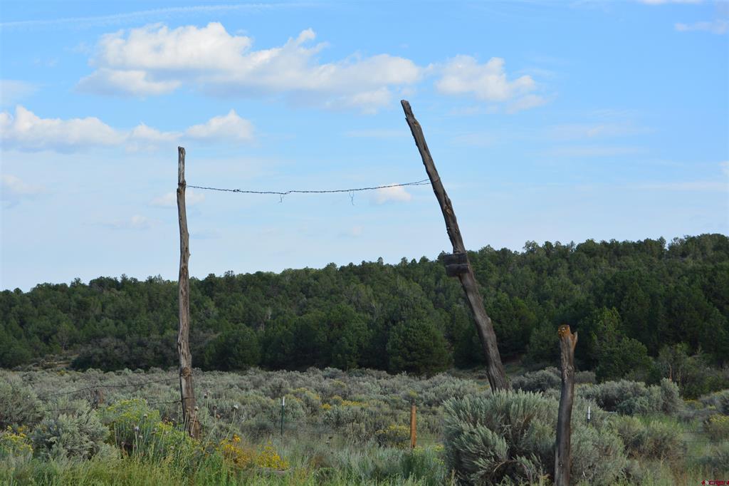 Tbd County Road 109 Property Photo 3