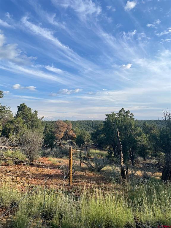 Tbd County Road 109 Property Photo 5